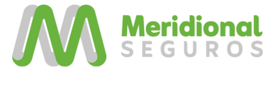 Meridional Seguros WS Automation meridional-seguros-ws-automation